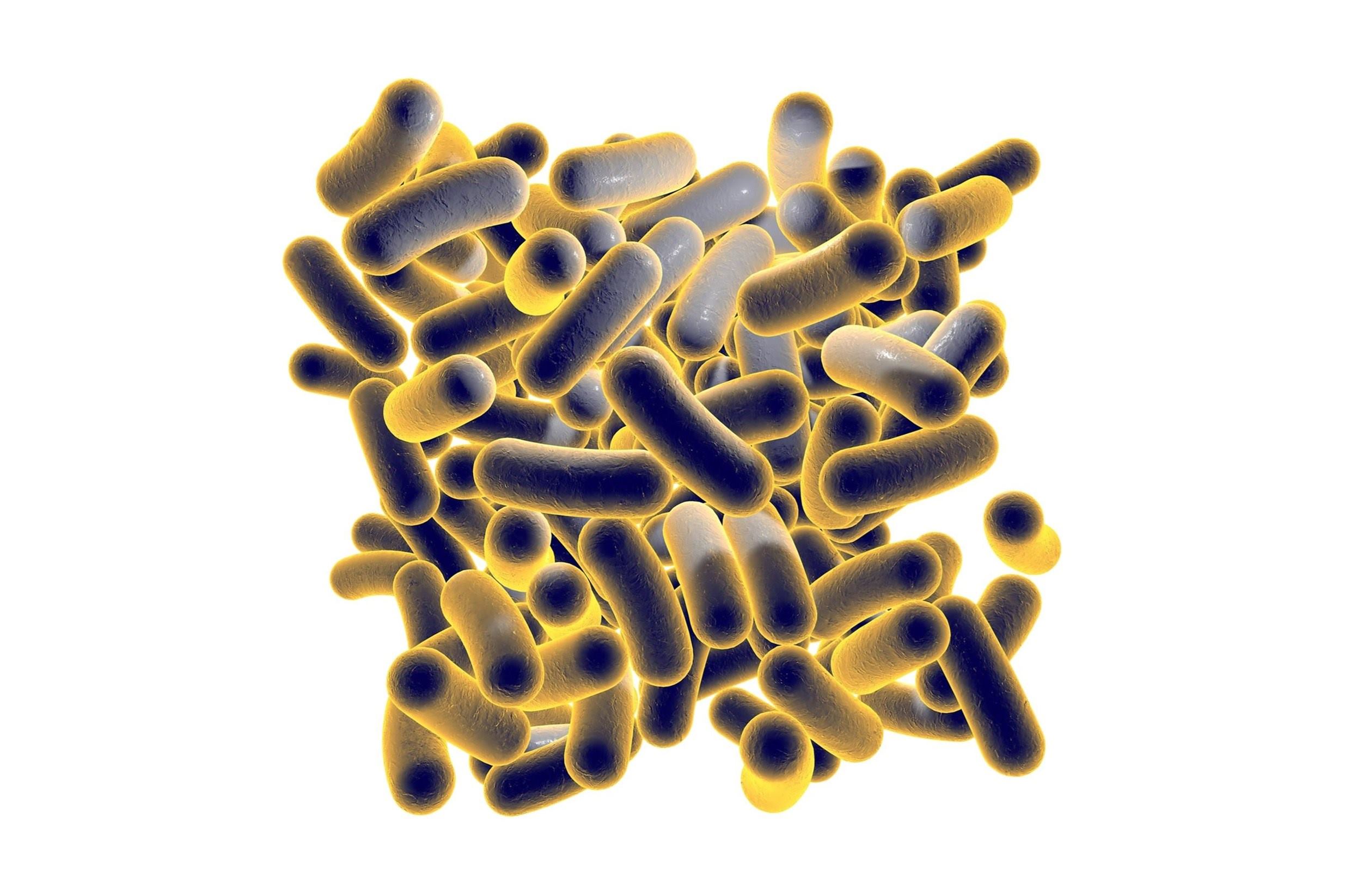 LEGIONELLA